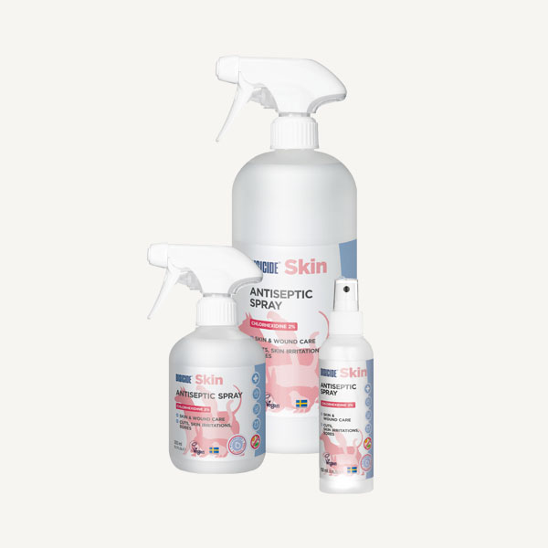 Disicide Skin Klorhexidin 2%