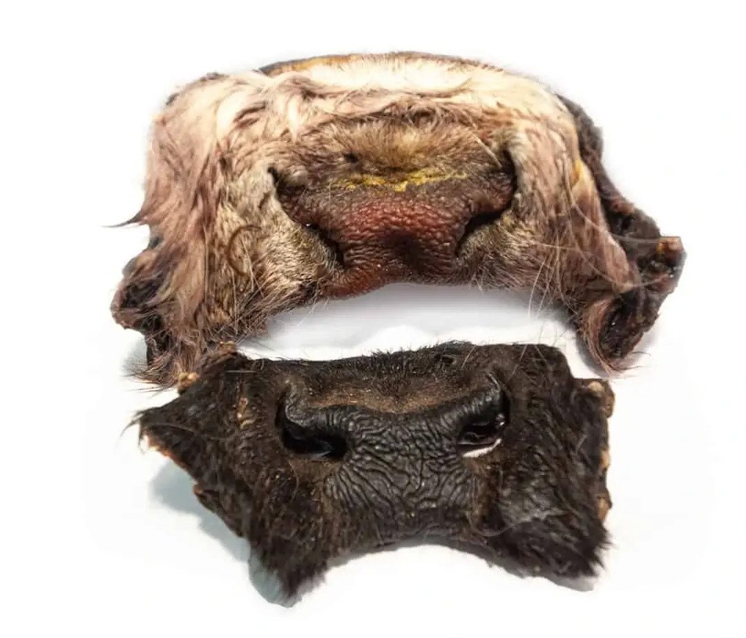 EMMZO- Oxmule med päls 1kg