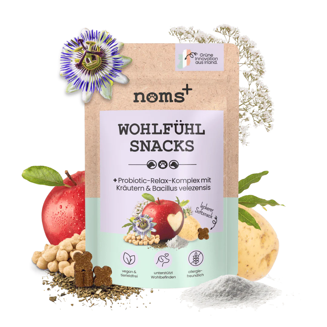noms+ Må-bra-snacks för hundar mot stress, ångest, rastlöshet och hyperaktivitet