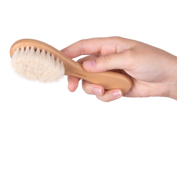 24ste038_1_qtuvgok4xzekxk3u